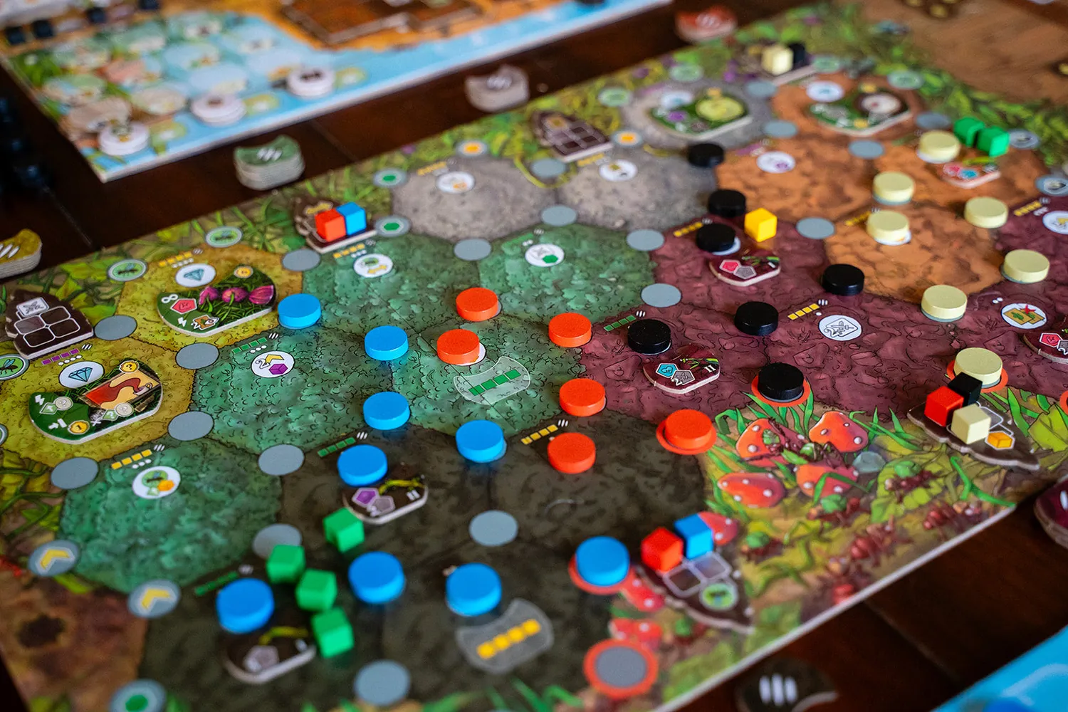 Capstone Games ANTS Brettspiel Strategiespiel deutsche Ausgabe