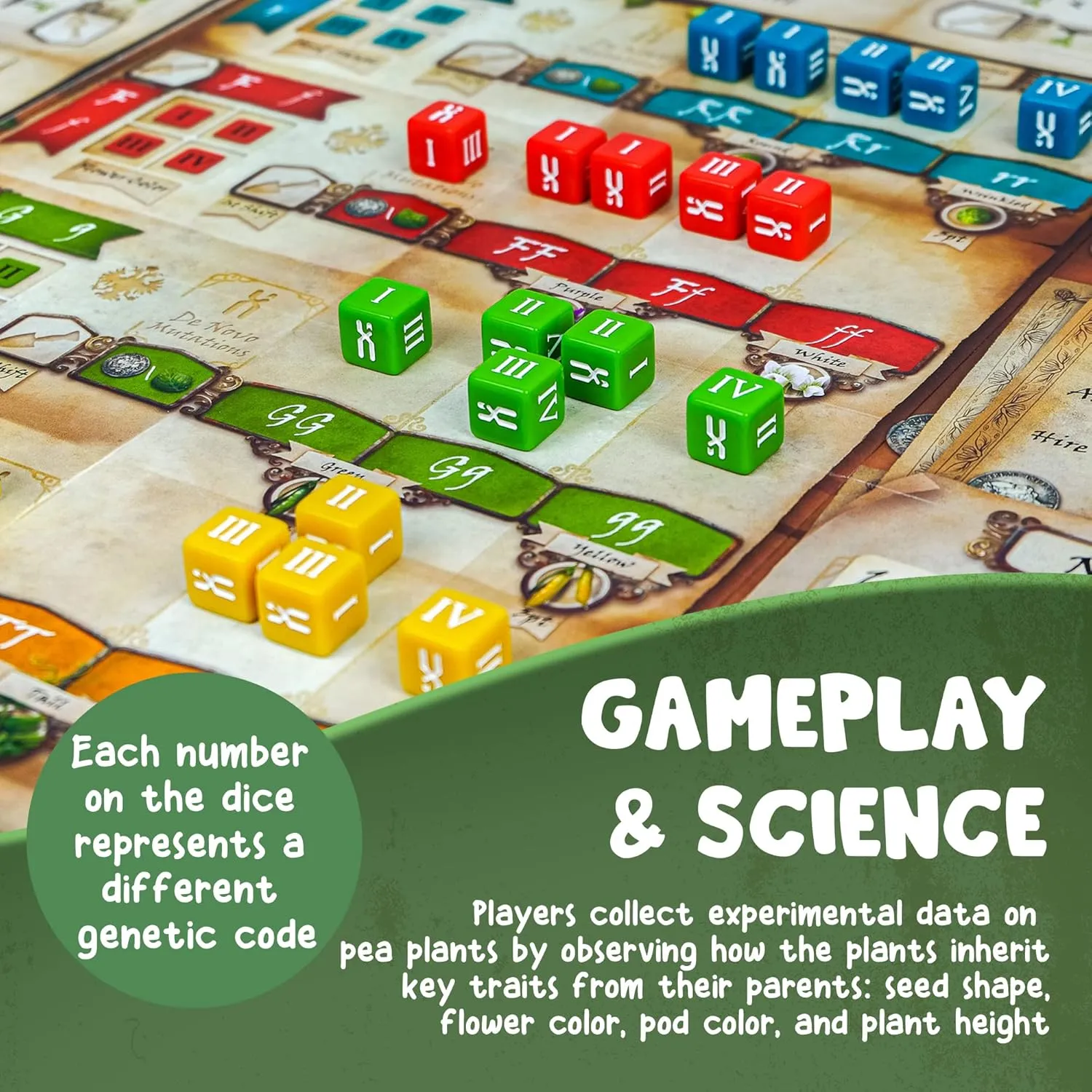 Genius Games Genotype Brettspiel Genetik 1-5 Spieler