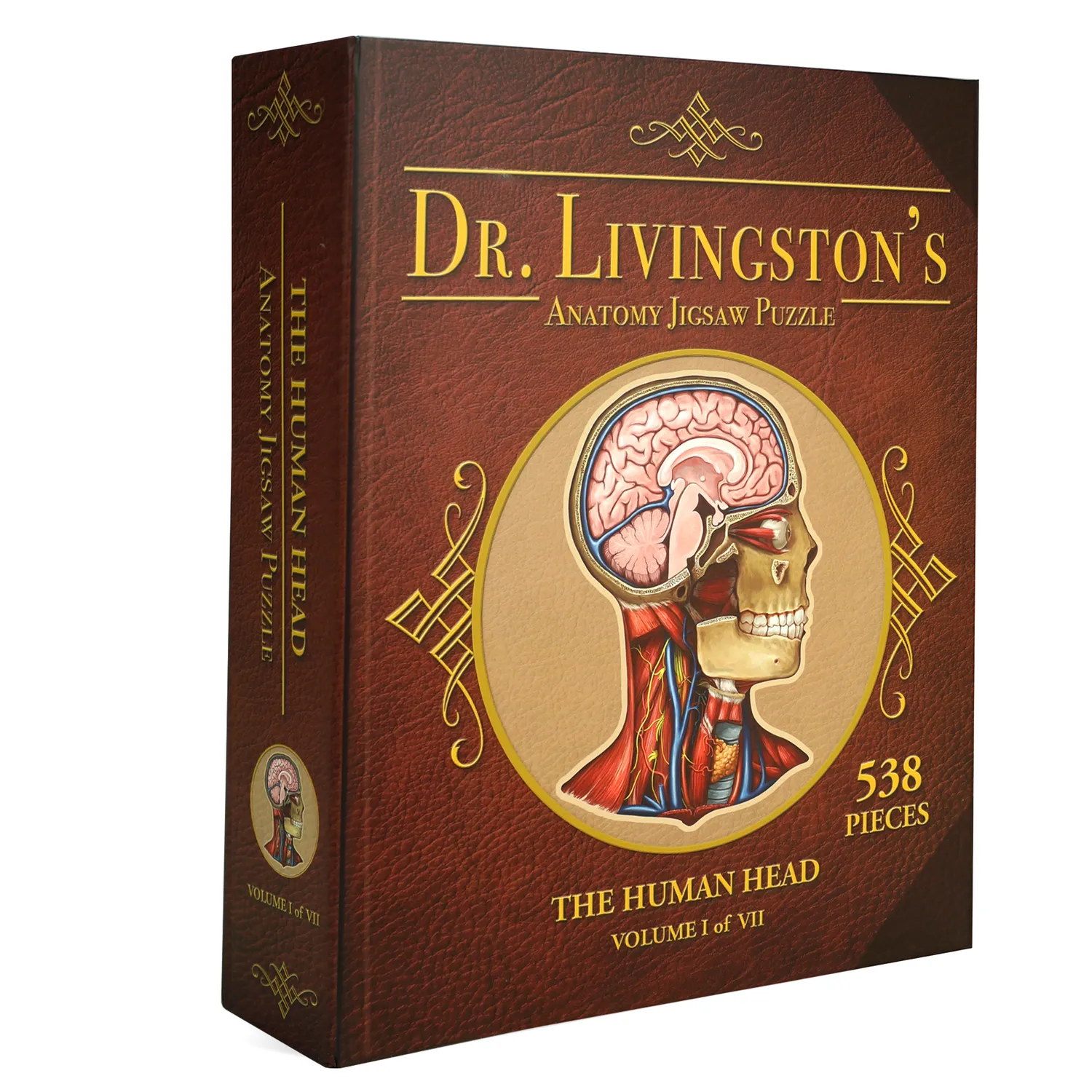 Genius Games Dr. Livingston Human Head Puzzle 441 Teile