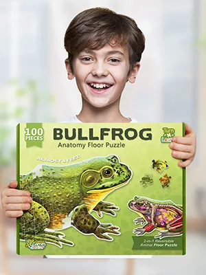Genius Games Ochsenfrosch Bodenpuzzle 100 Teile Anatomie