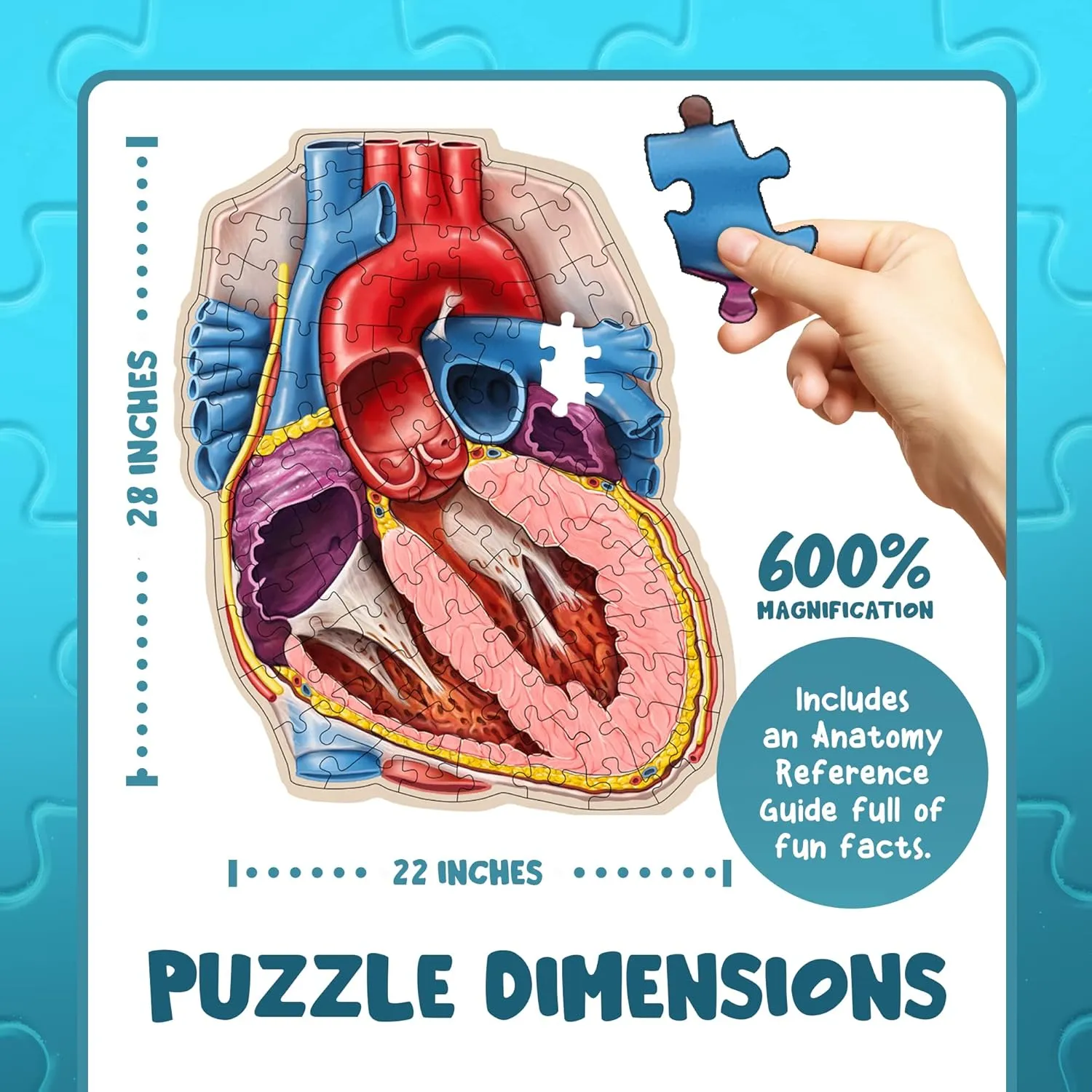 Genius Games Dr. Livingston Herz Bodenpuzzle 100 Teile Anatomie