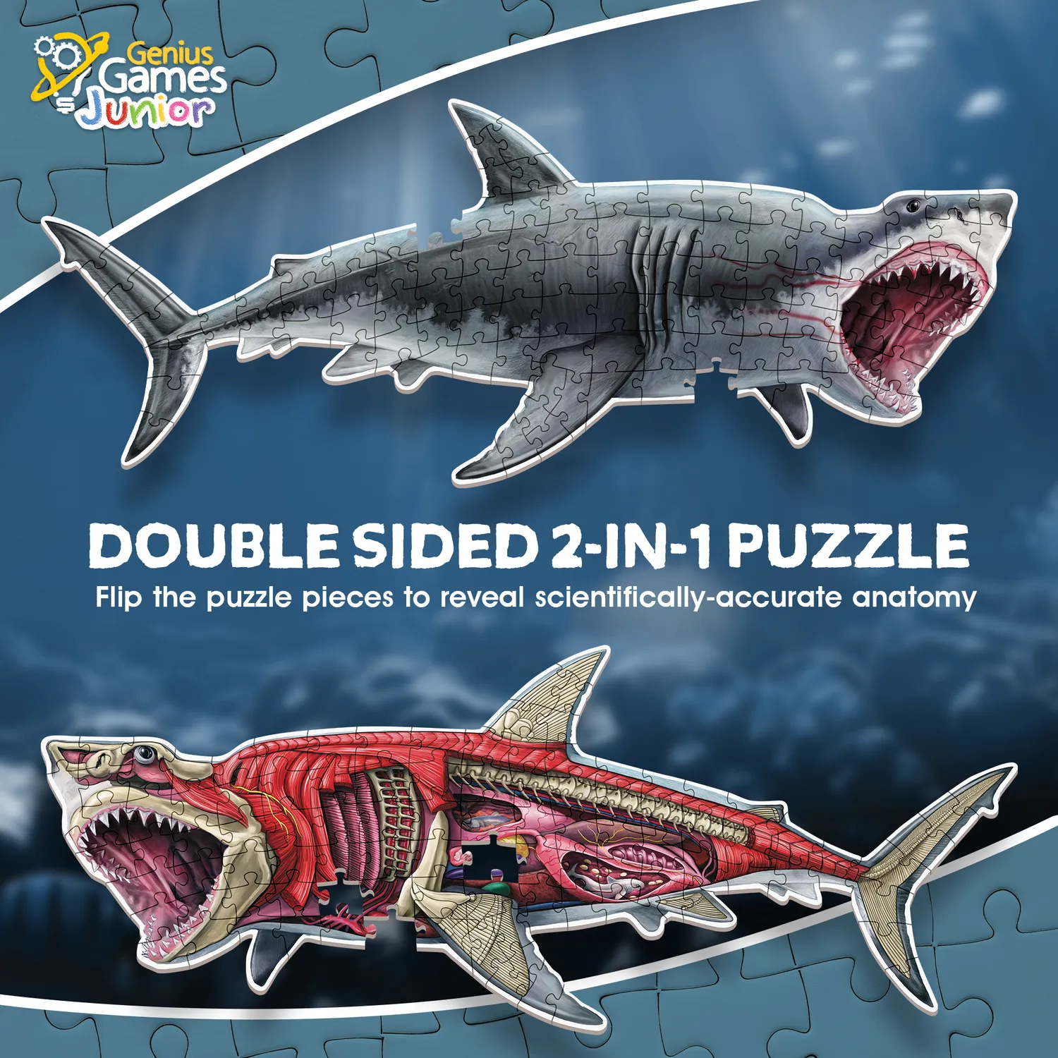Genius Games Turn N Learn Hai Bodenpuzzle 100 Teile doppelseitig