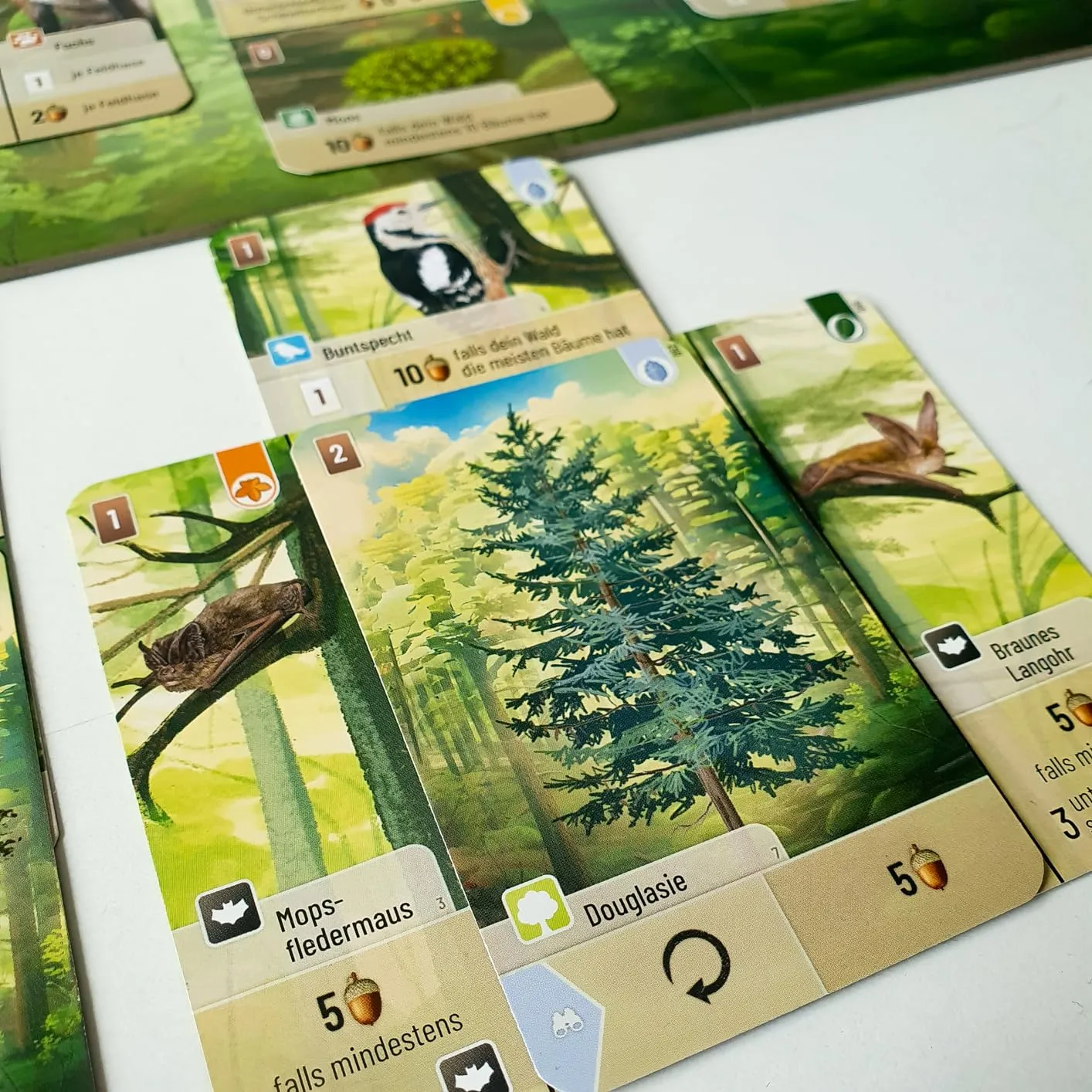Asmodee Mischwald Grundspiel Familienspiel Deutsch