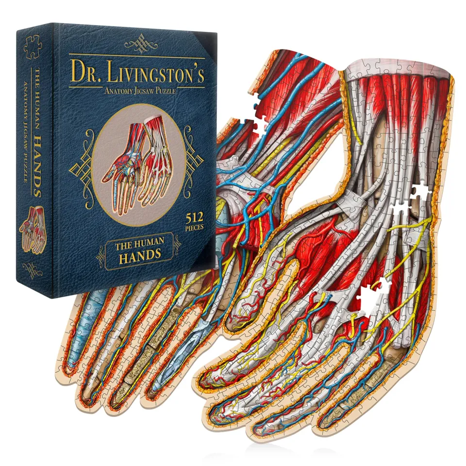 Genius Games Dr. Livingston Human Hands Puzzle 512 Teile