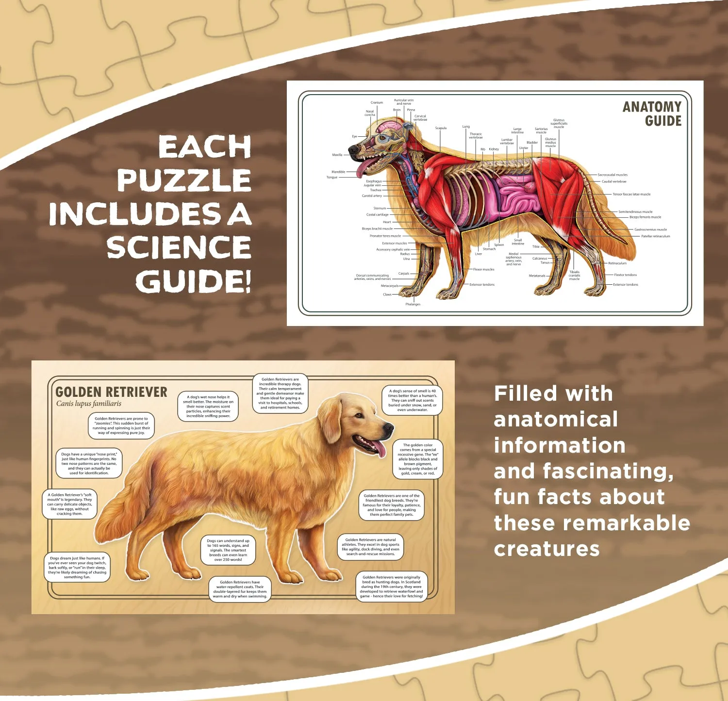 Genius Games Turn N Learn Katze Hund Bodenpuzzle 2x100 Teile
