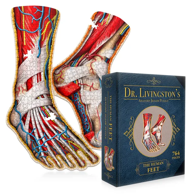 Genius Games Dr Livingston's Füße Anatomie-Puzzle 764 Teile