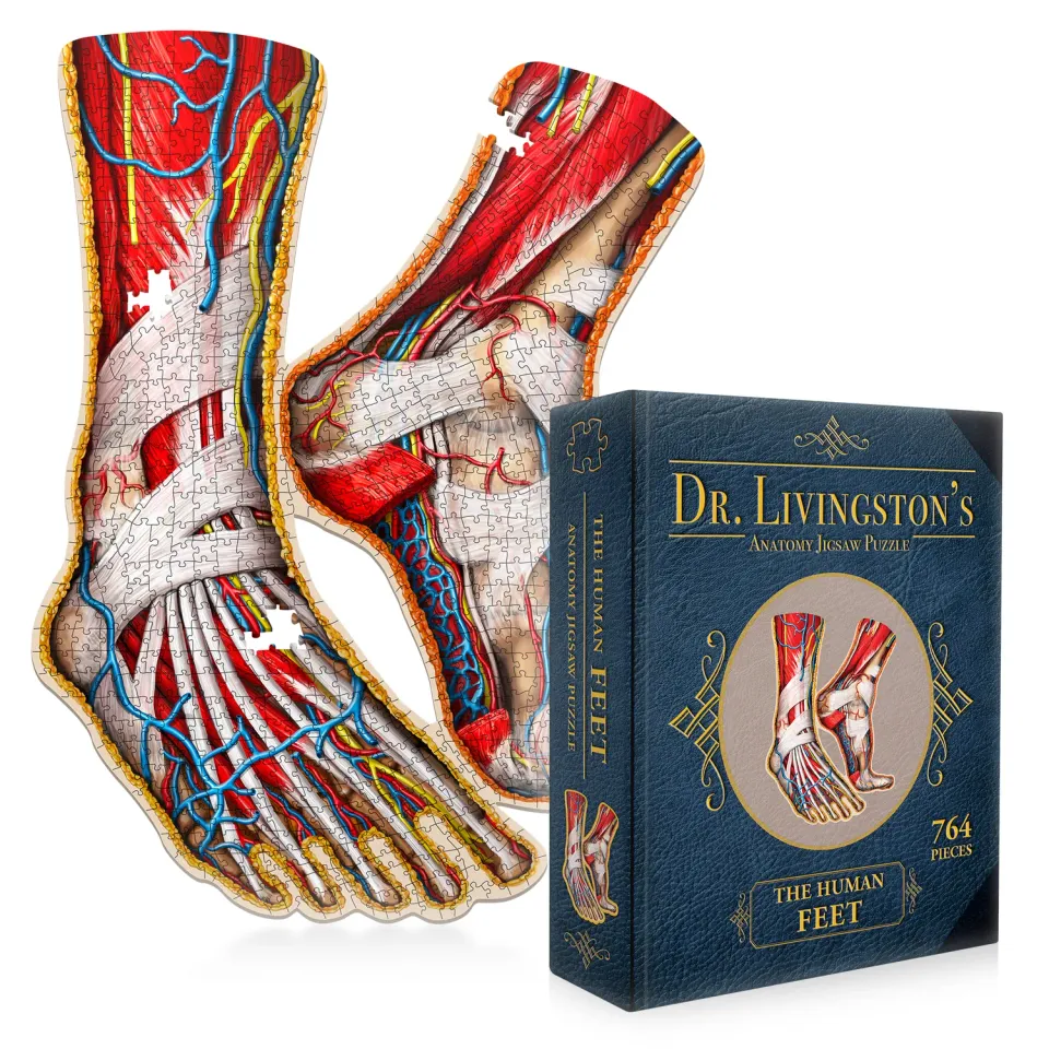 Genius Games Dr Livingston's Füße Anatomie-Puzzle 764 Teile