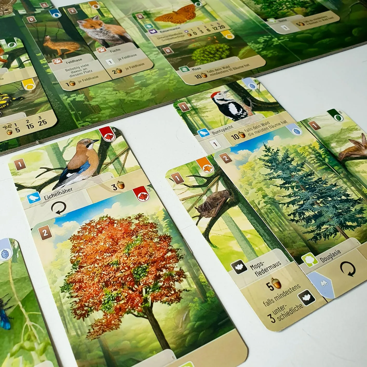 Asmodee Mischwald Grundspiel Familienspiel Deutsch