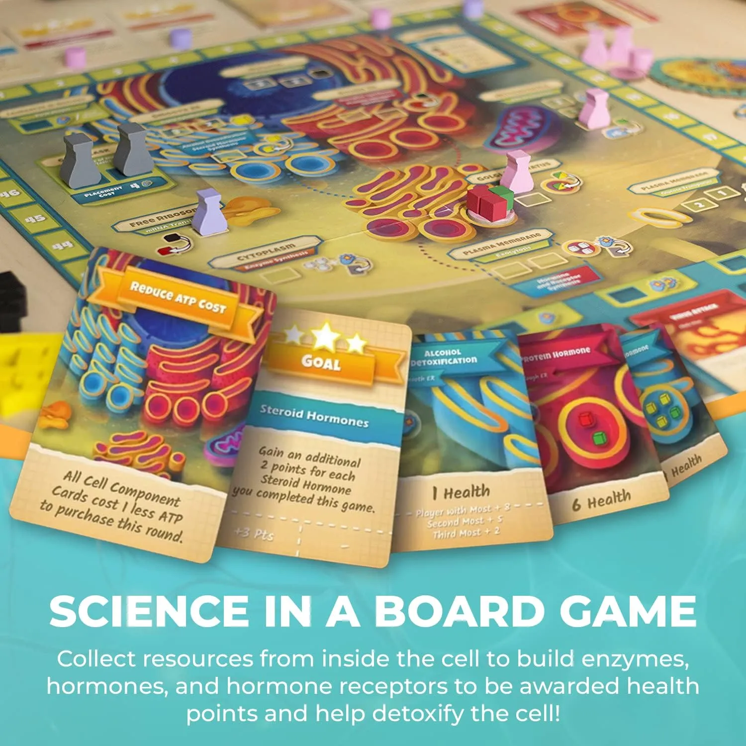 Genius Games Cytosis Brettspiel Zellbiologie Worker Placement