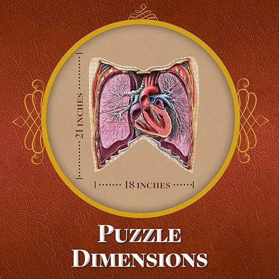 Genius Games Dr Livingston Thorax Anatomie-Puzzle 561 Teile
