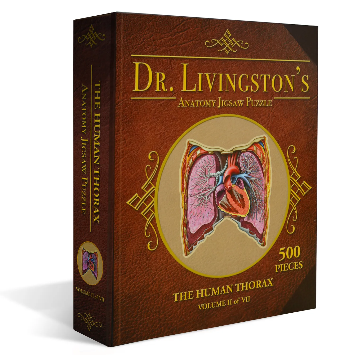 Genius Games Dr Livingston Thorax Anatomie-Puzzle 561 Teile