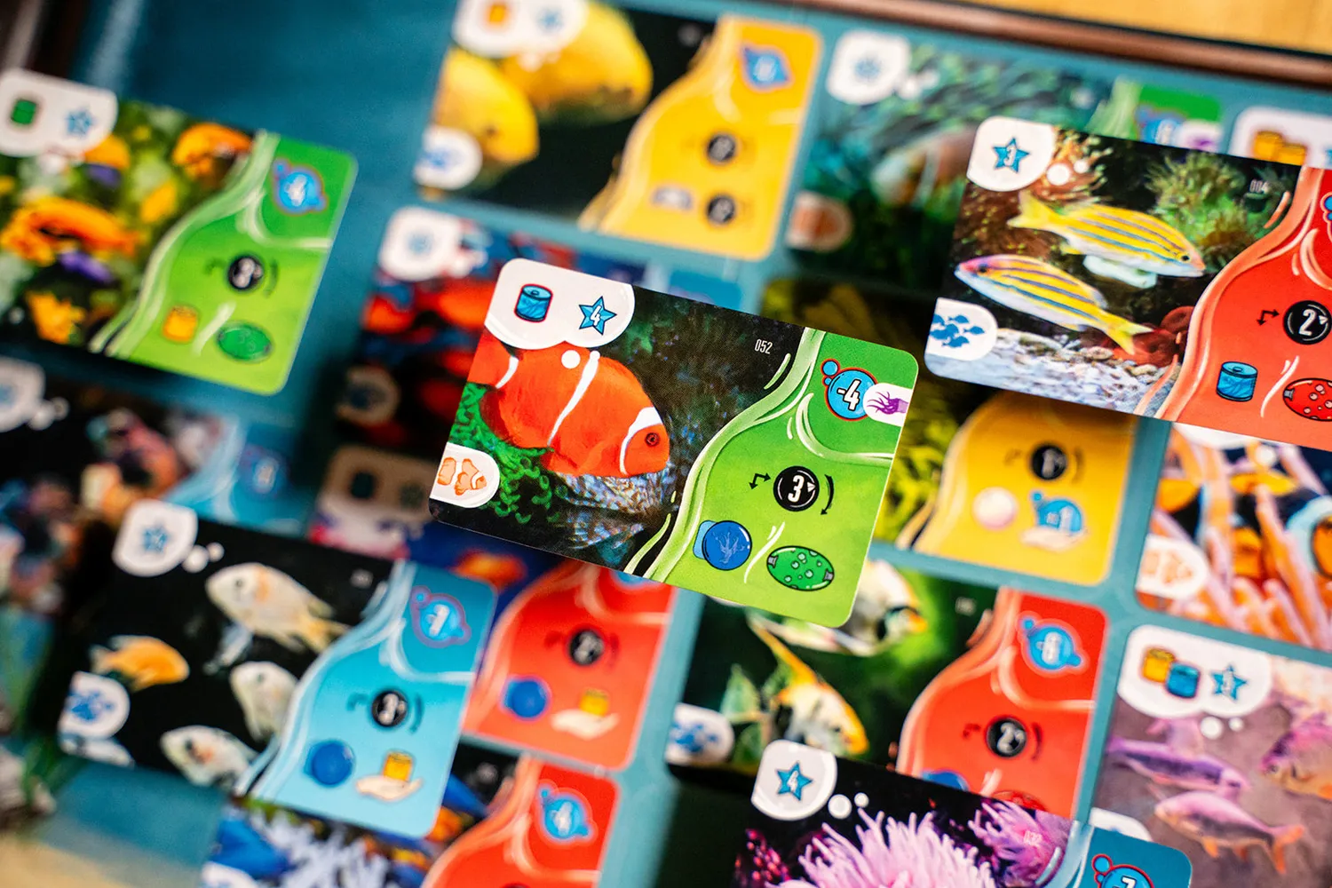 Capstone Games Aquaria Brettspiel Aquarium-Strategie
