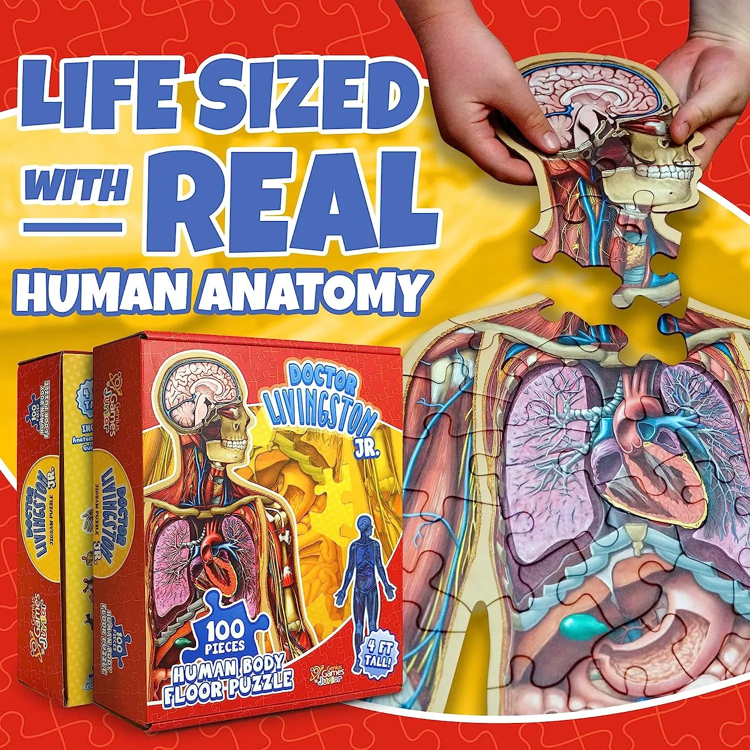 Genius Games Dr Livingston's Jr Human Body Bodenpuzzle 100 Teile