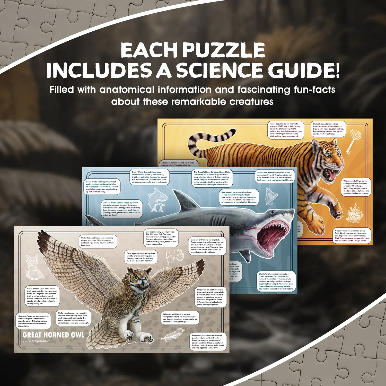 Genius Games Tiger Hai Eule Bodenpuzzle 3x100 Teile Set