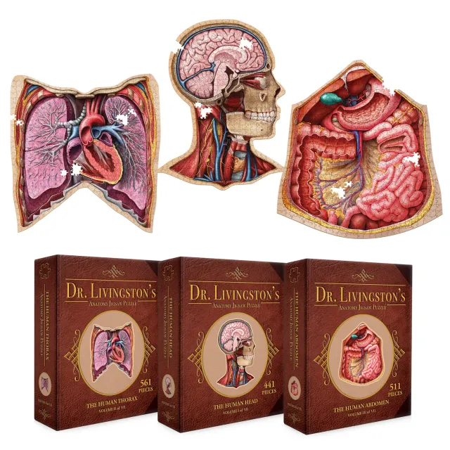 Genius Games Dr Livingston Anatomie Puzzle Set Kopf Brust