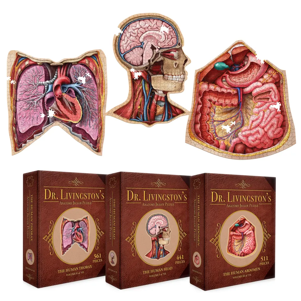 Genius Games Dr Livingston Anatomie Puzzle Set Kopf Brust