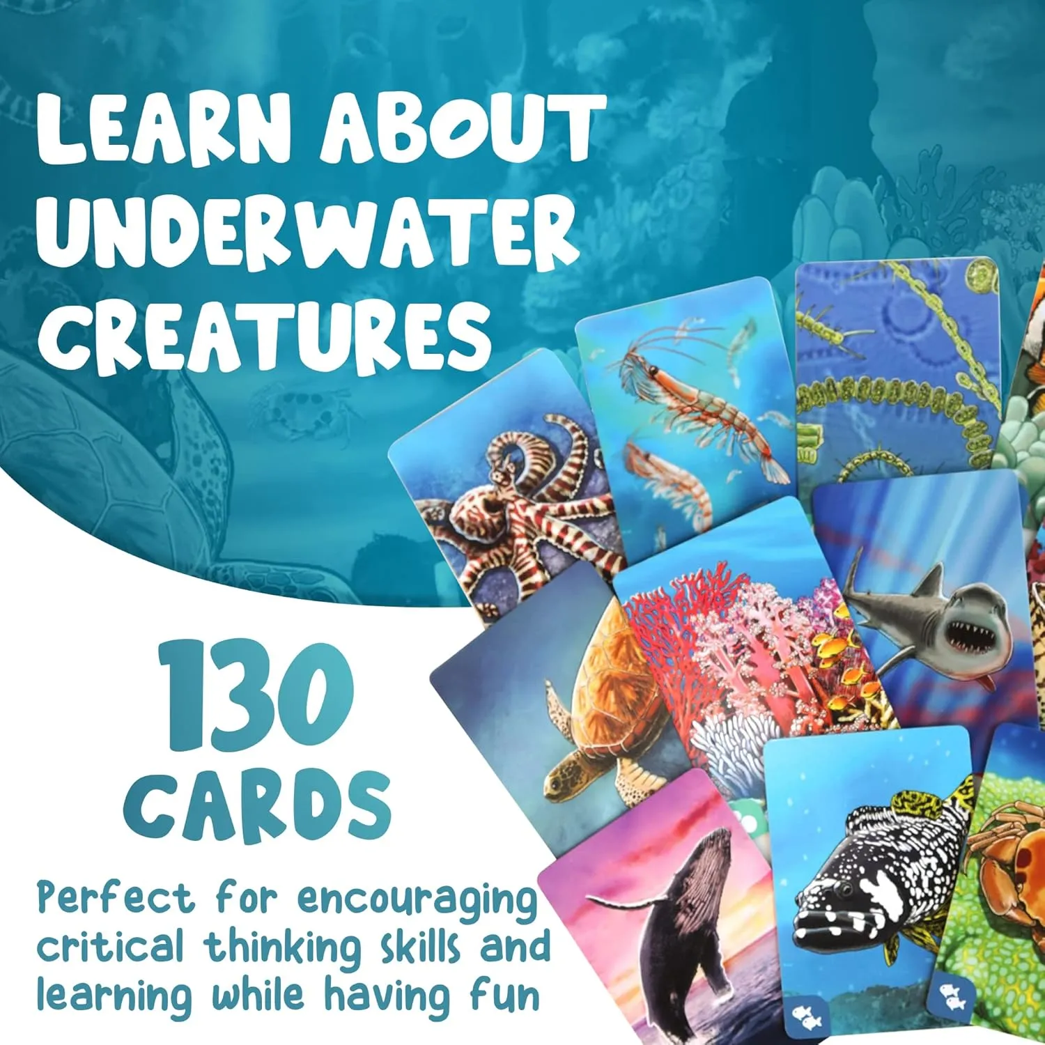 Genius Games Ecosystem Coral Reef Kartenspiel 2-6 Spieler Familie