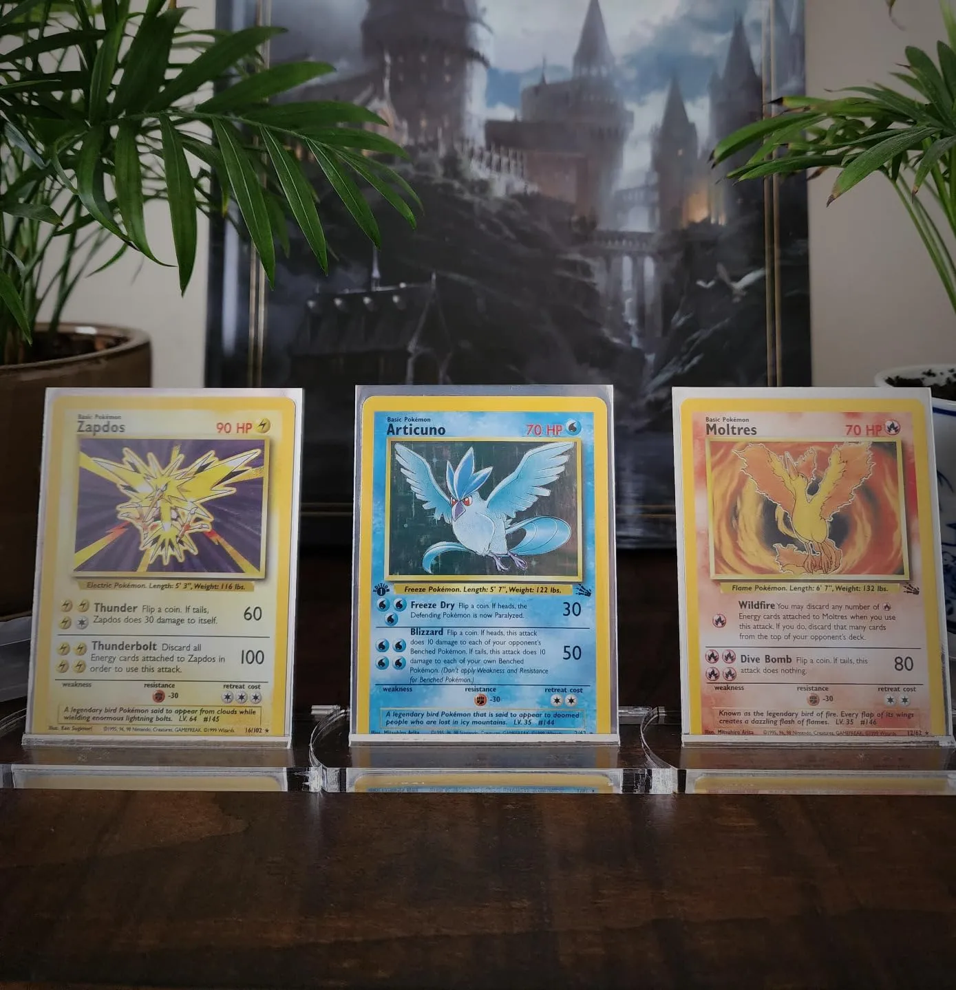Gamegenic Premium Card Stands Kartenständer Acryl 4er