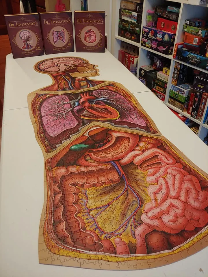Genius Games Dr Livingston Anatomie Puzzle Set Kopf Brust