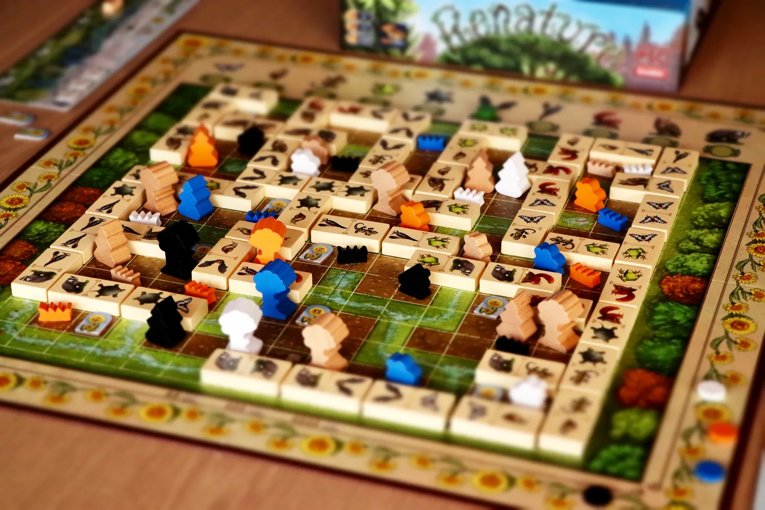 Capstone Games Renature Brettspiel Familie Legespiel
