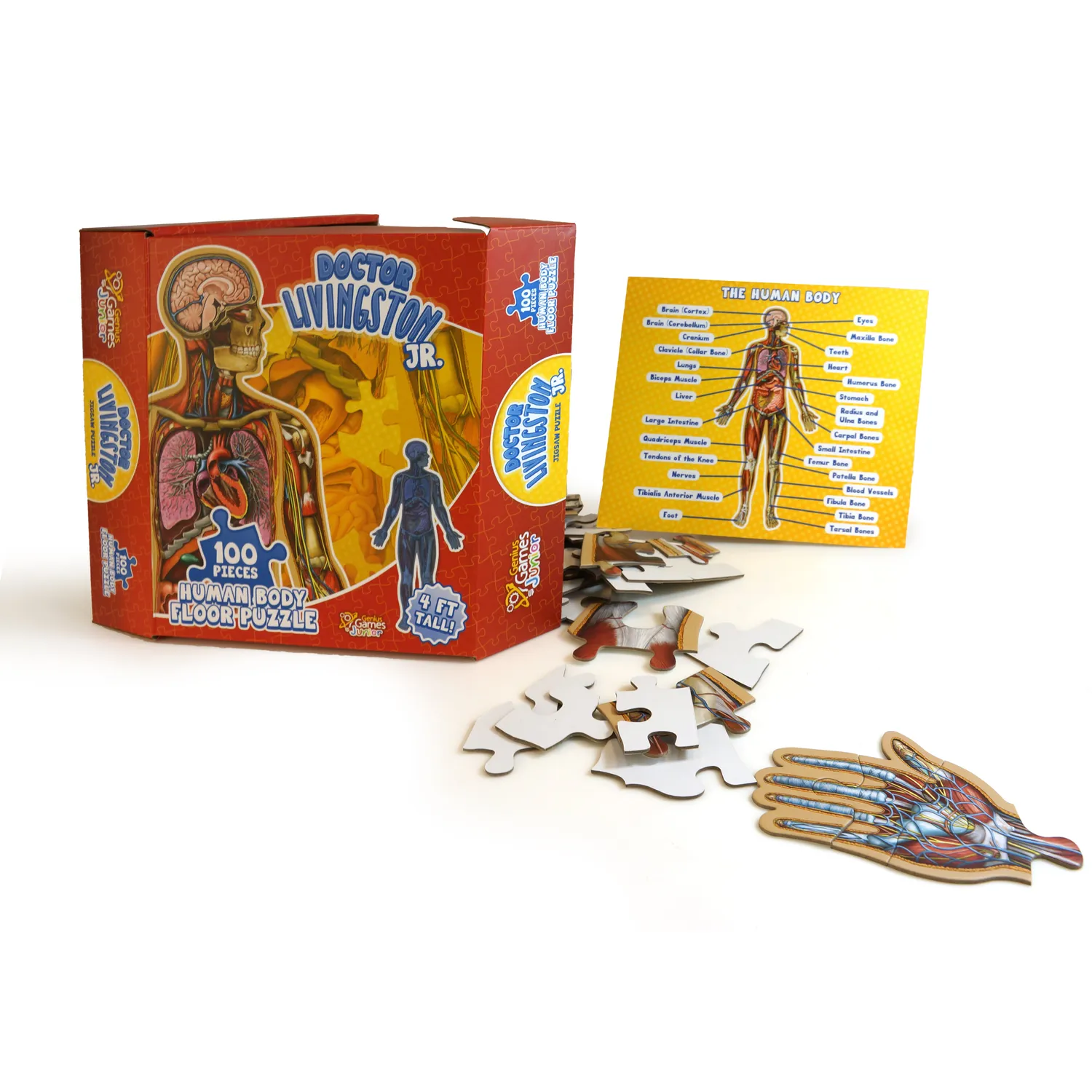 Genius Games Dr. Livingston Jr Bundle Puzzle Kinder 3er Set