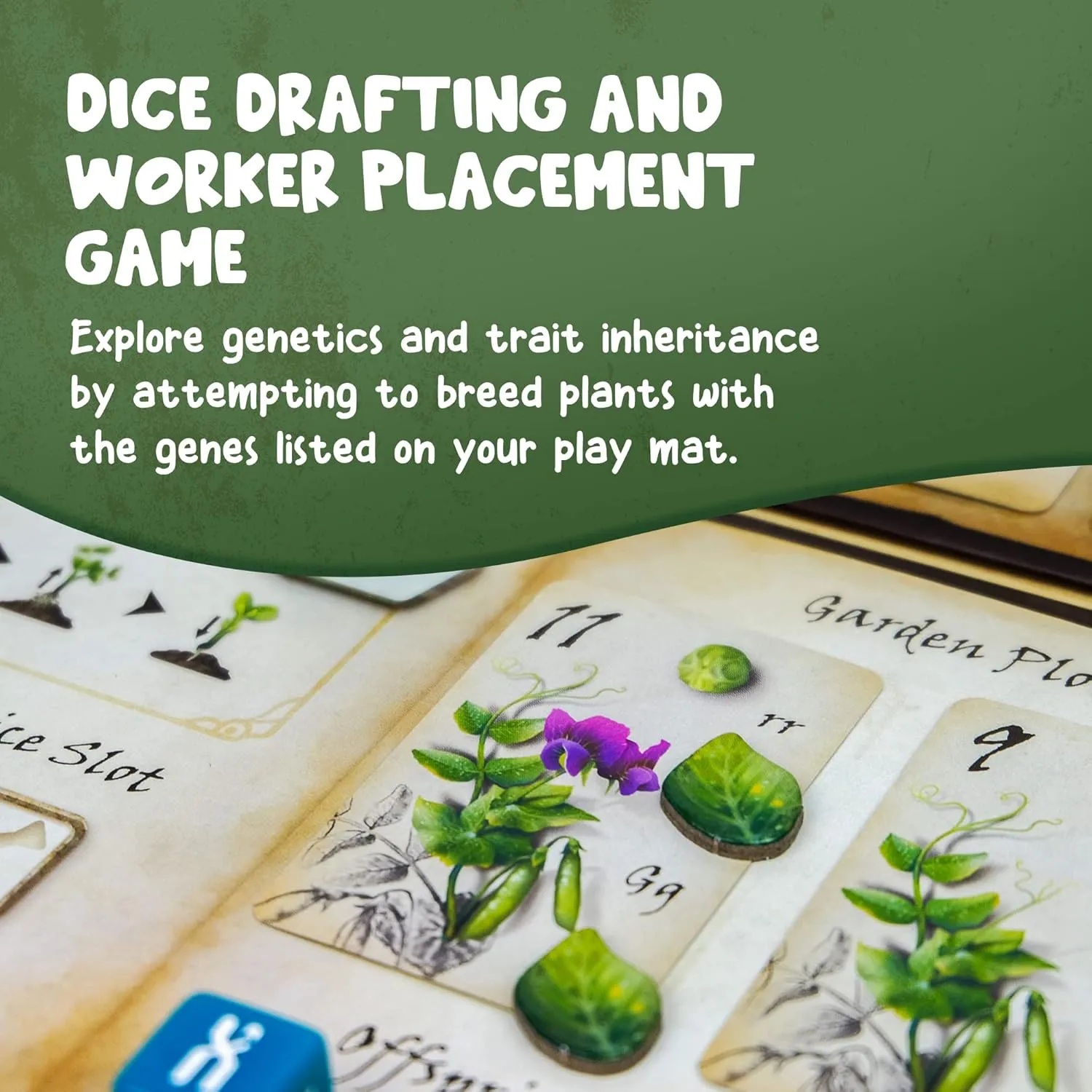 Genius Games Genotype Brettspiel Genetik 1-5 Spieler