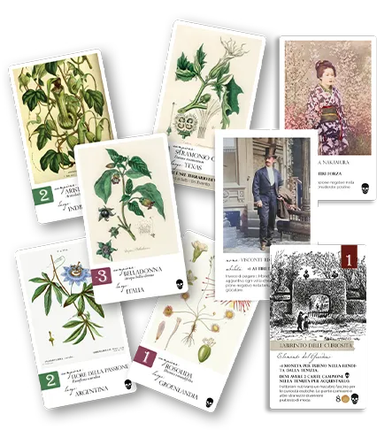 Cranio Botany Profumi Insidiosi Erweiterung Giftpflanzen