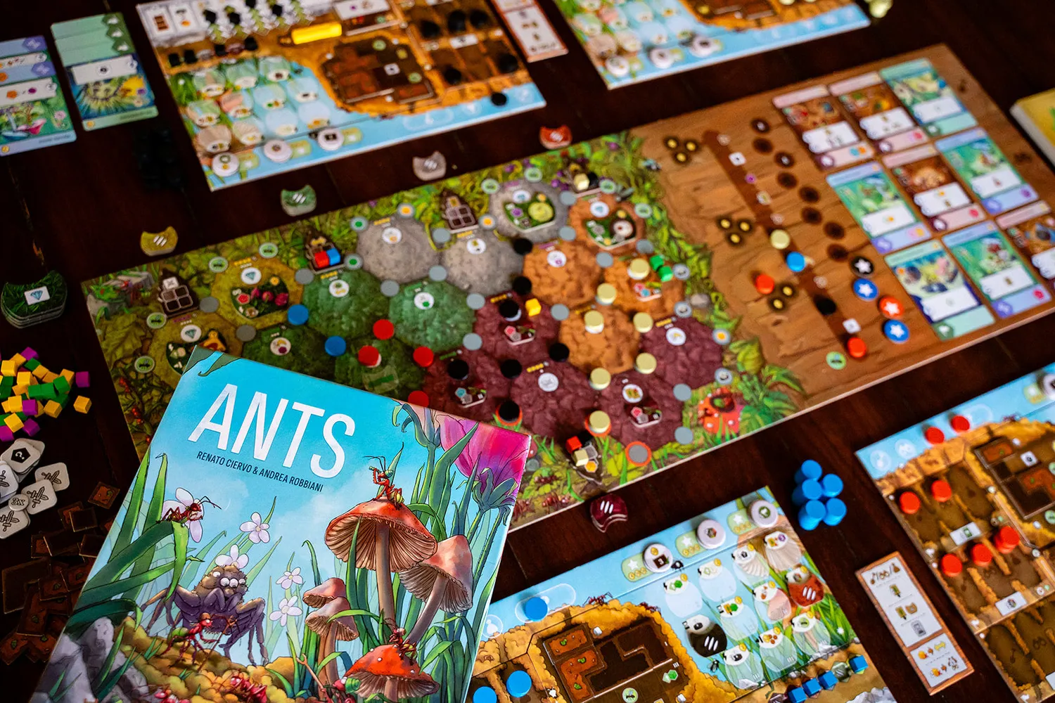 Capstone Games ANTS Brettspiel Strategiespiel deutsche Ausgabe