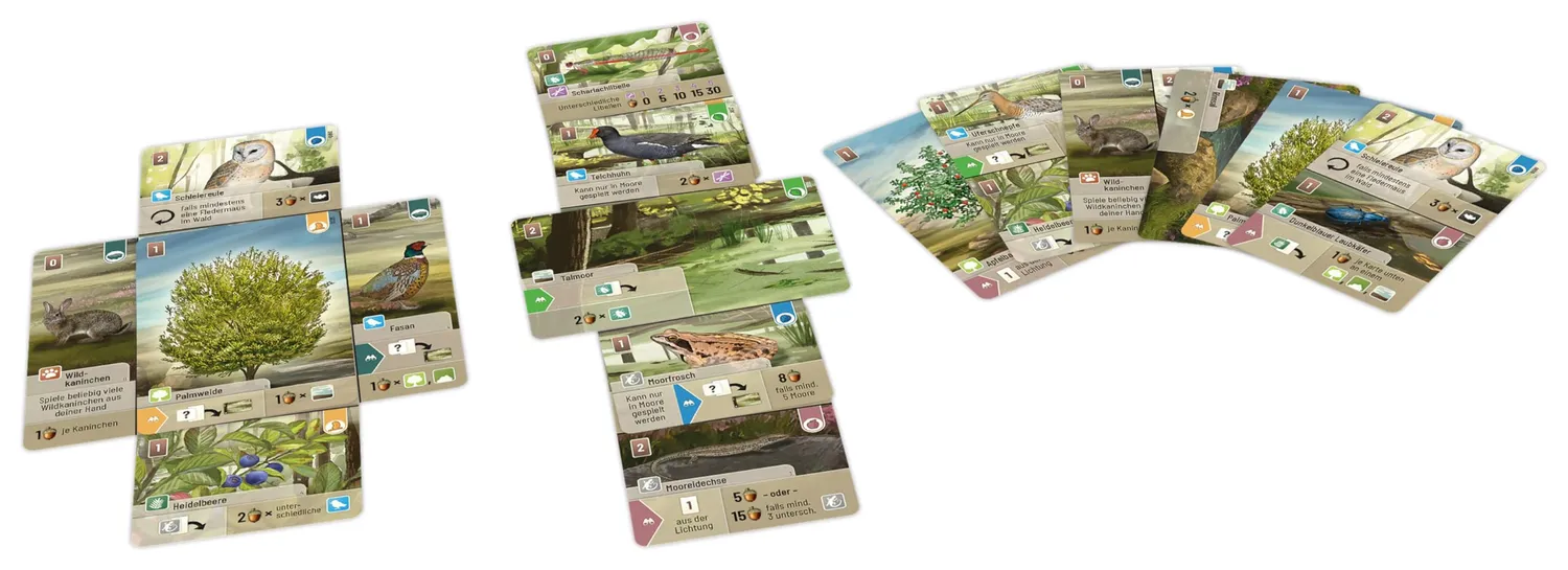 Asmodee Mischwald Dartmoor Grundspiel Kennerspiel deutsch