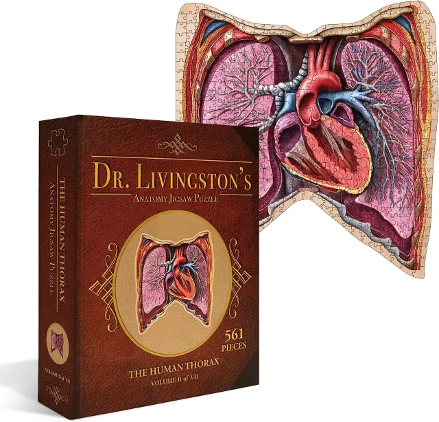 Genius Games Dr Livingston Thorax Anatomie-Puzzle 561 Teile