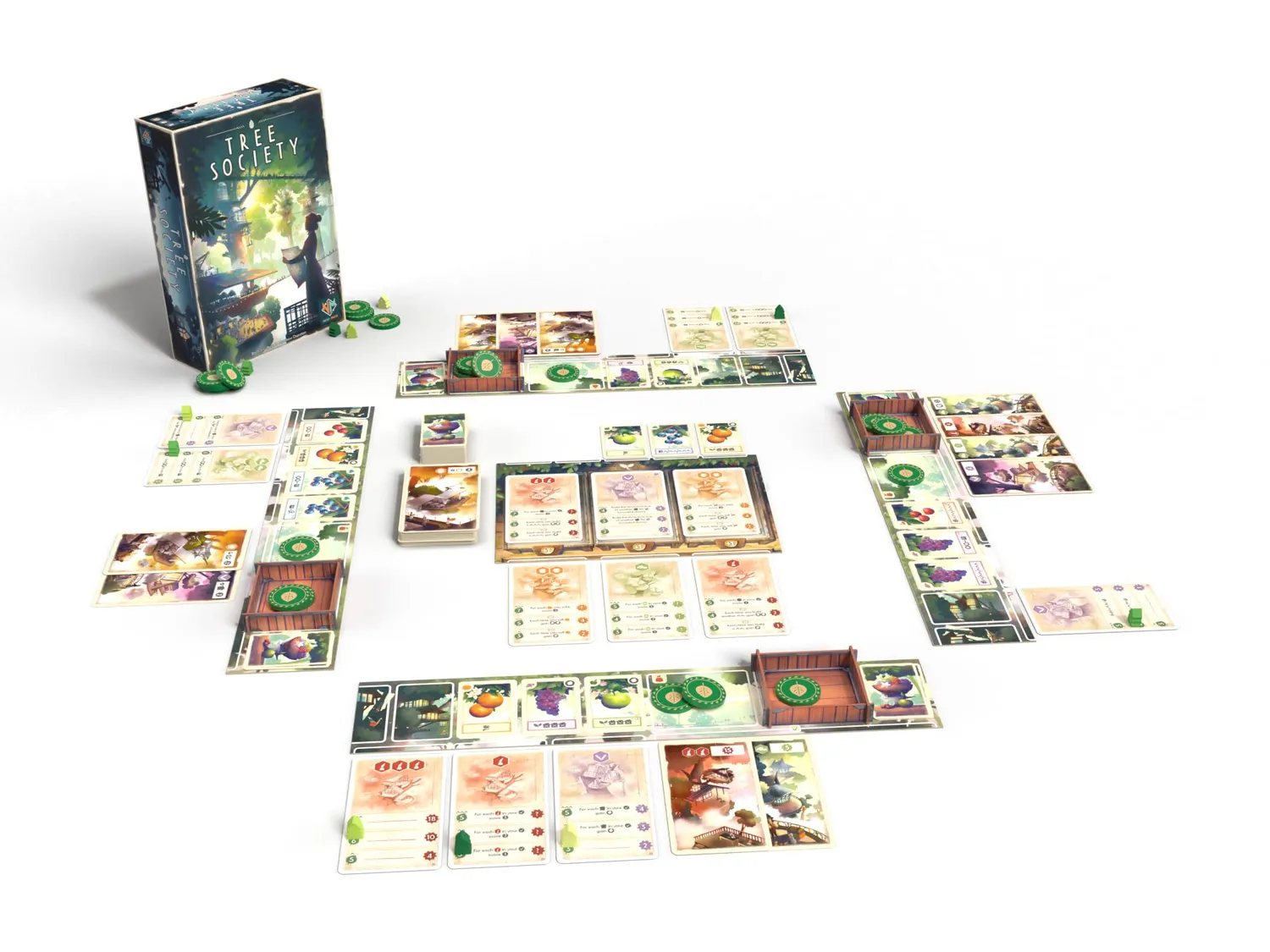 Asmodee Tree Society Familienspiel Deutsch Gilden
