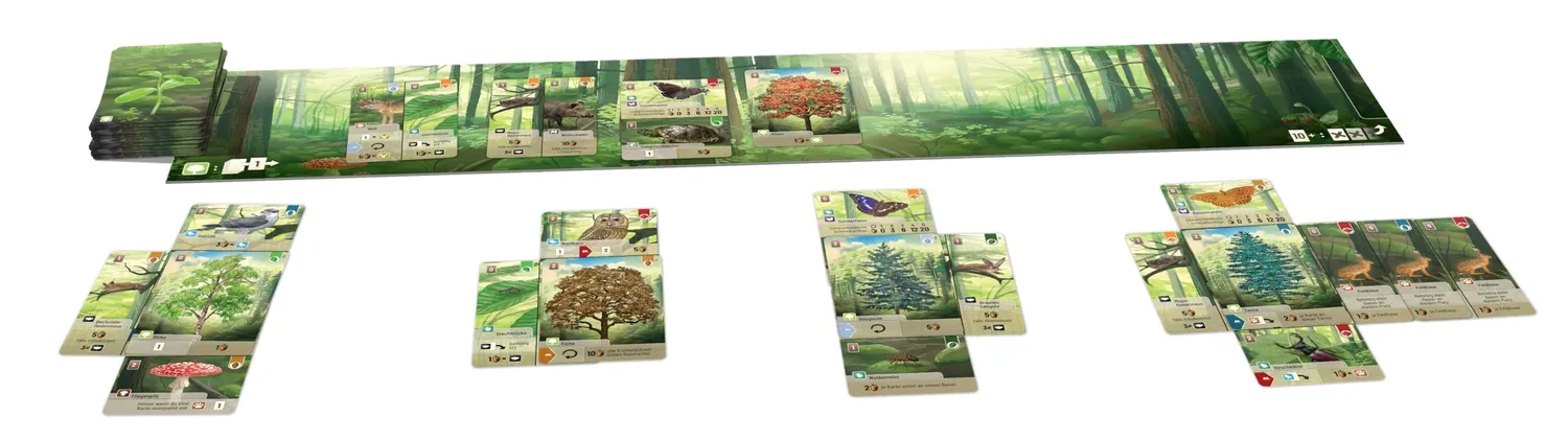 Asmodee Mischwald Grundspiel Familienspiel Deutsch
