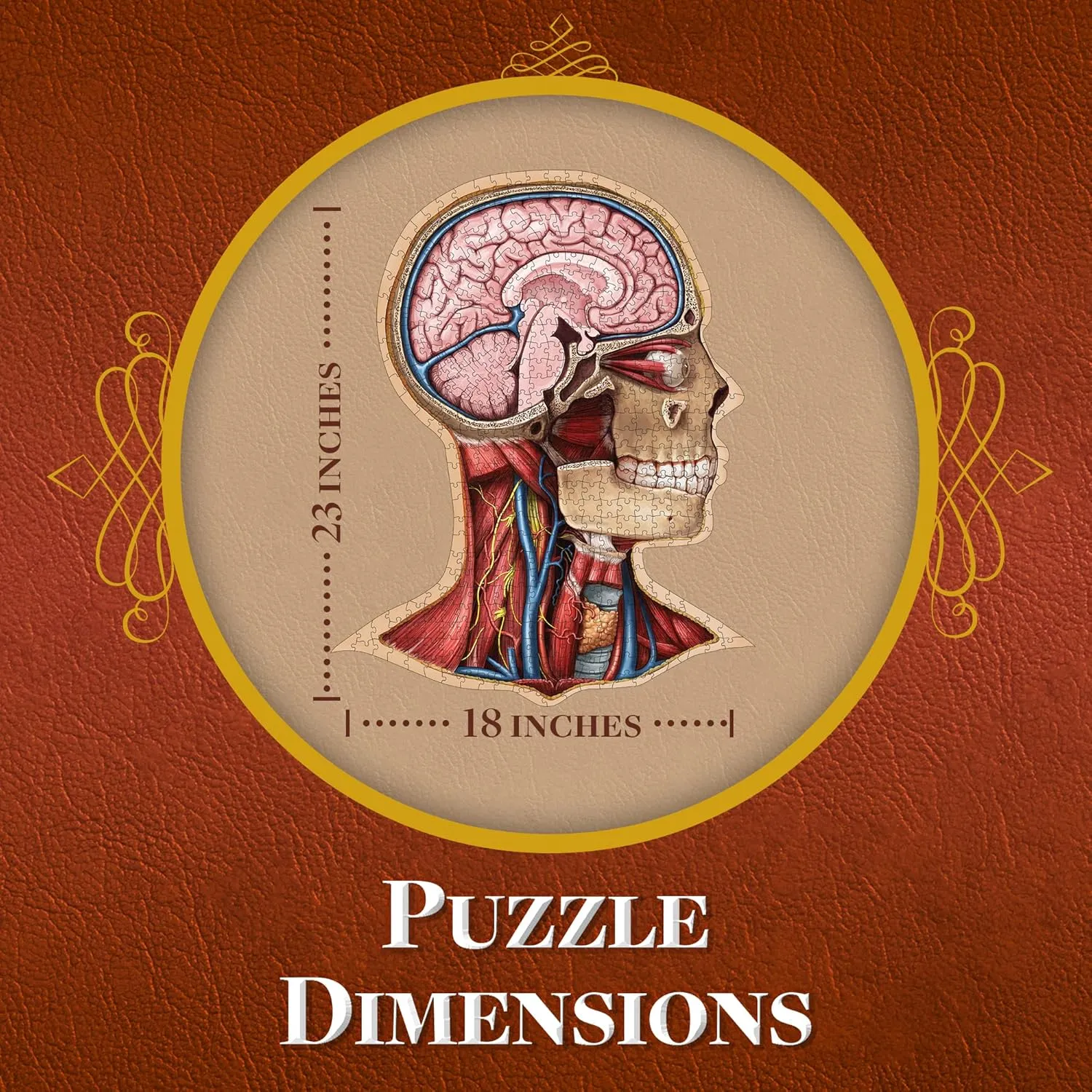 Genius Games Dr. Livingston Human Head Puzzle 441 Teile