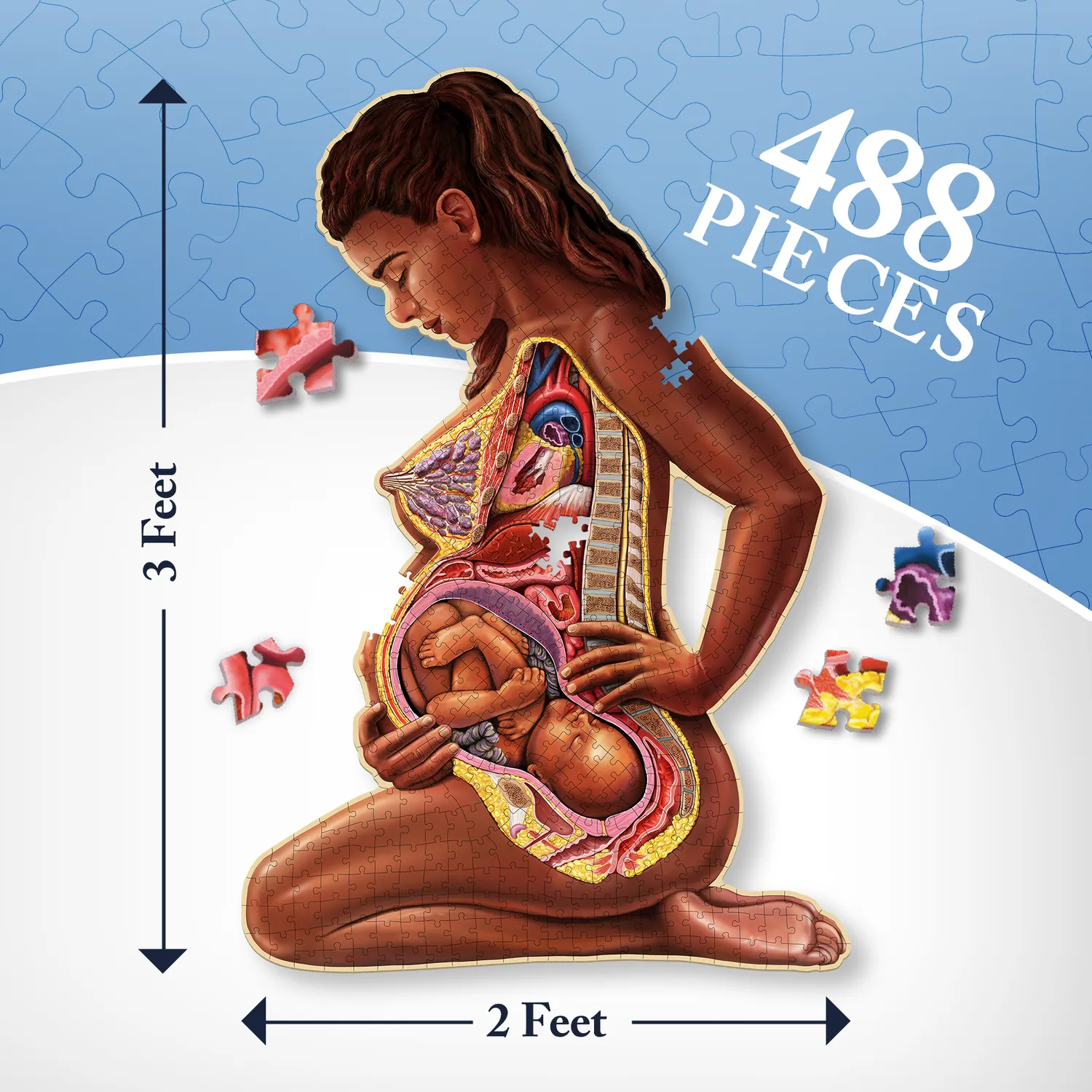 Genius Games Schwangere Mutter Anatomie Puzzle 488 Teile Poster