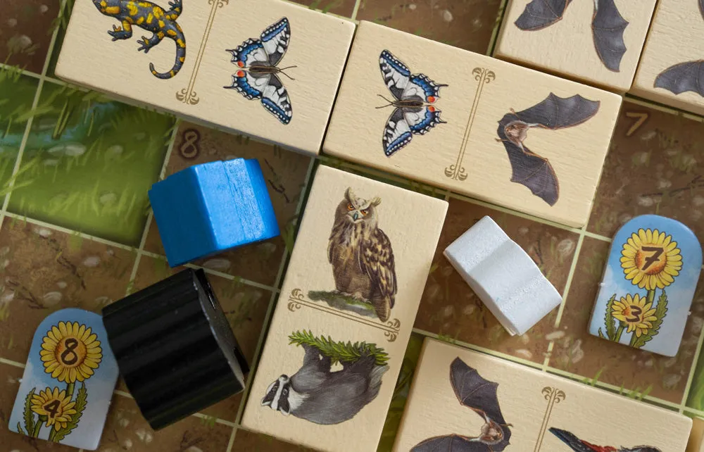Capstone Games Renature Brettspiel Familie Legespiel