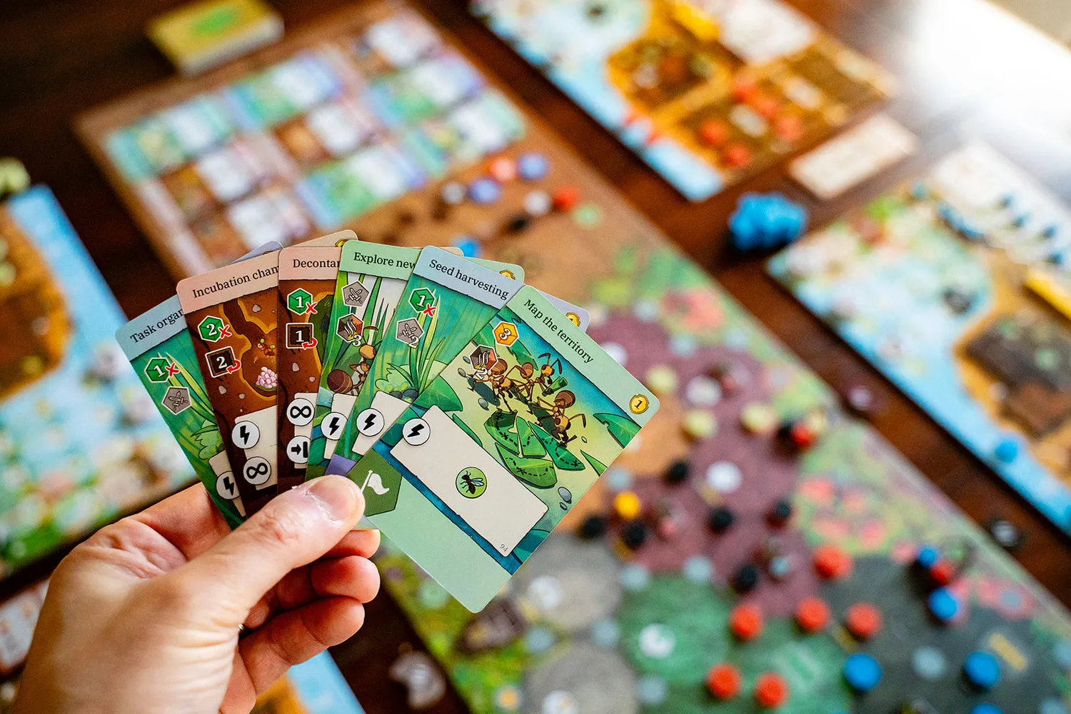 Capstone Games ANTS Brettspiel Strategiespiel deutsche Ausgabe
