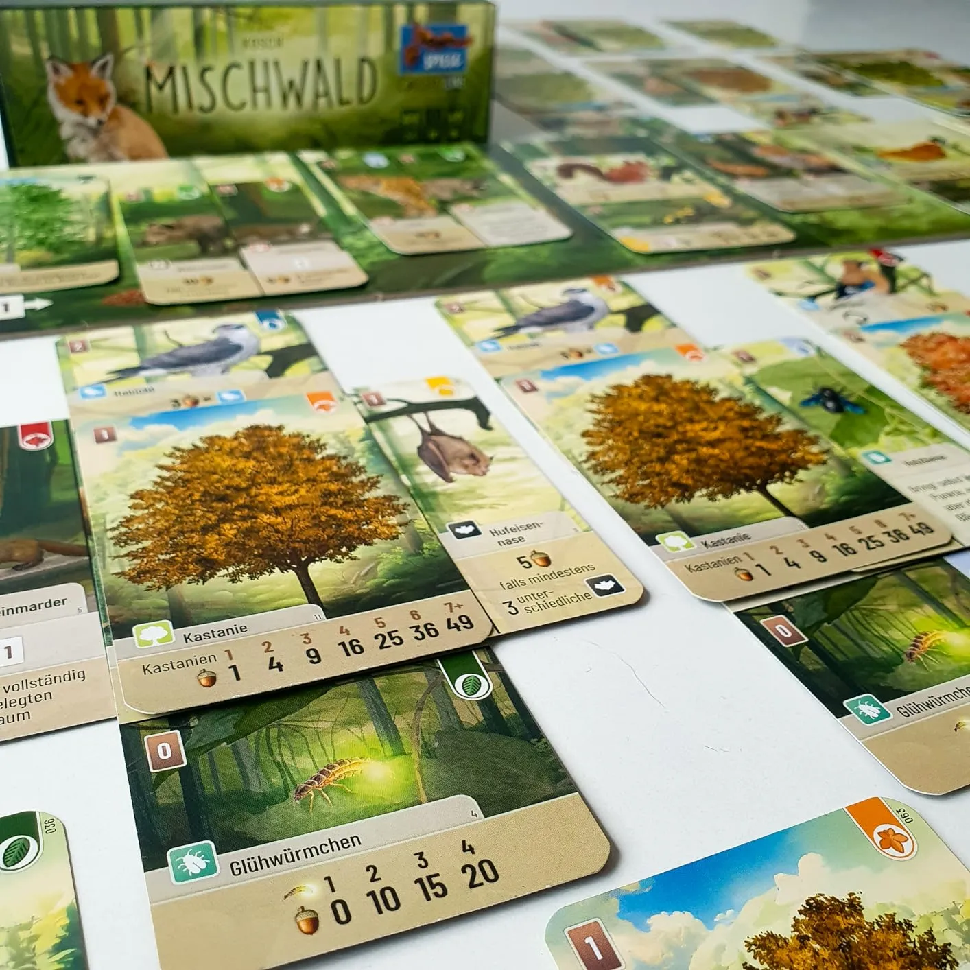 Asmodee Mischwald Grundspiel Familienspiel Deutsch