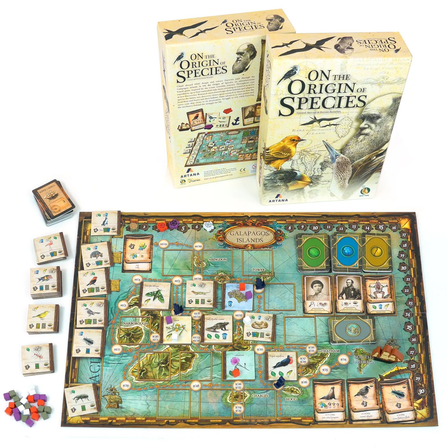 Genius Games On the Origin of Species Brettspiel Darwin Strategie