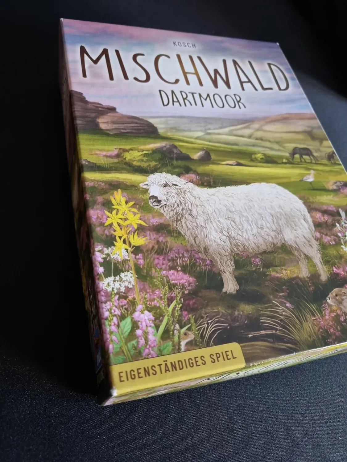 Asmodee Mischwald Dartmoor Grundspiel Kennerspiel deutsch