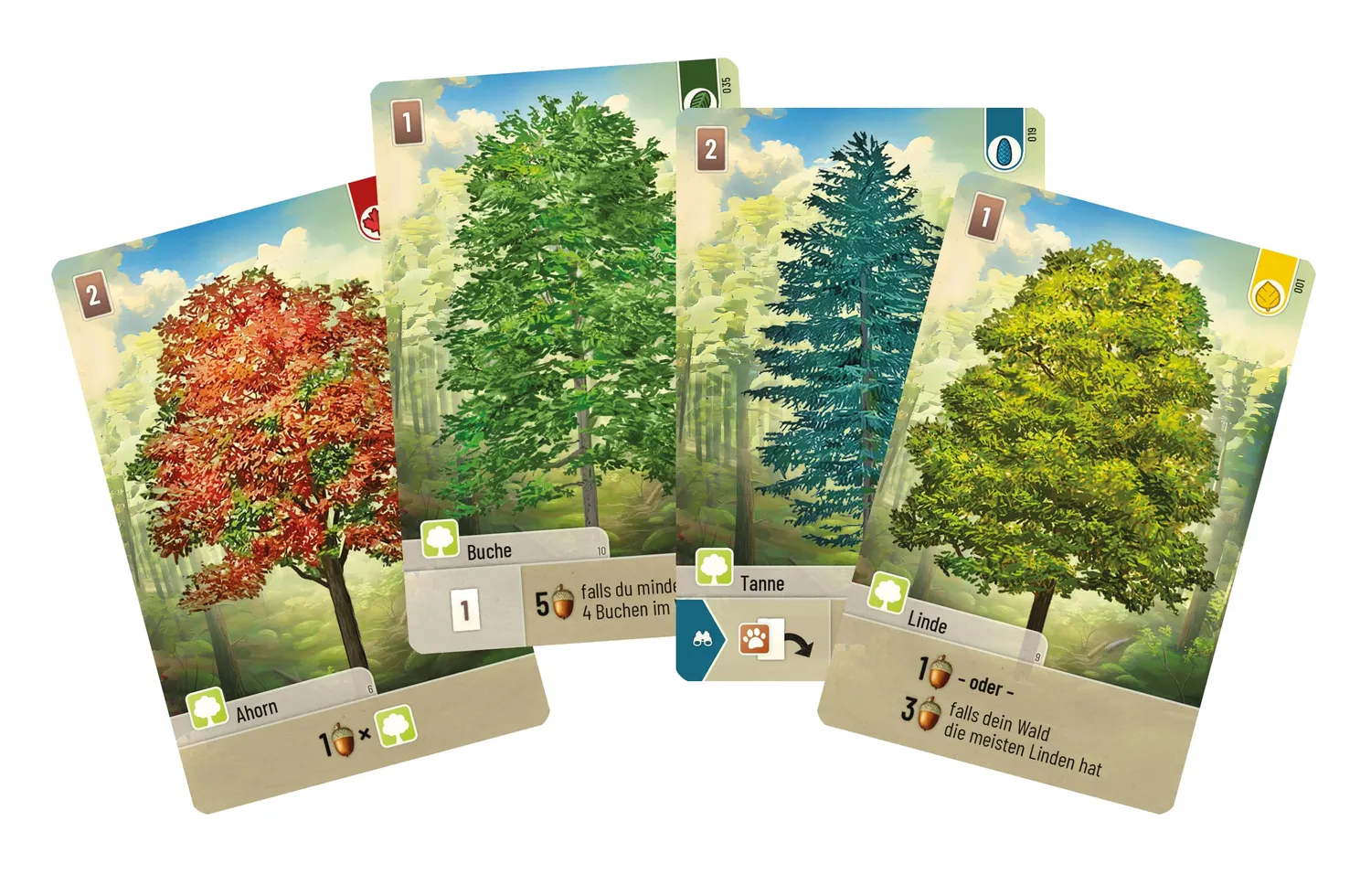 Asmodee Mischwald Grundspiel Familienspiel Deutsch