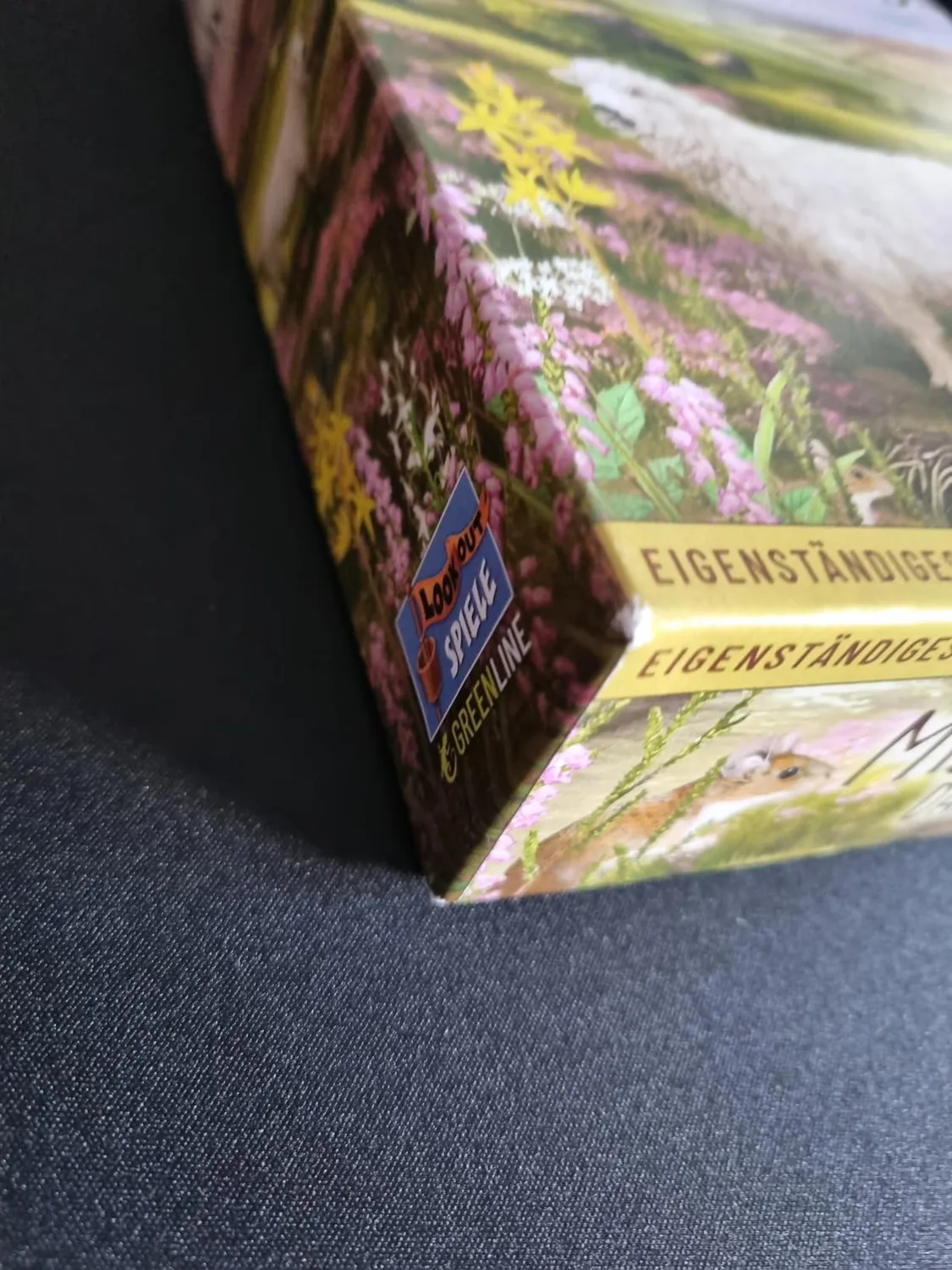 Asmodee Mischwald Dartmoor Grundspiel Kennerspiel deutsch