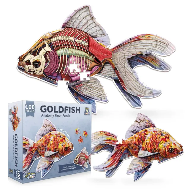 Genius Games Turn N Learn Fantail Goldfish Bodenpuzzle 100 Teile doppelseitig