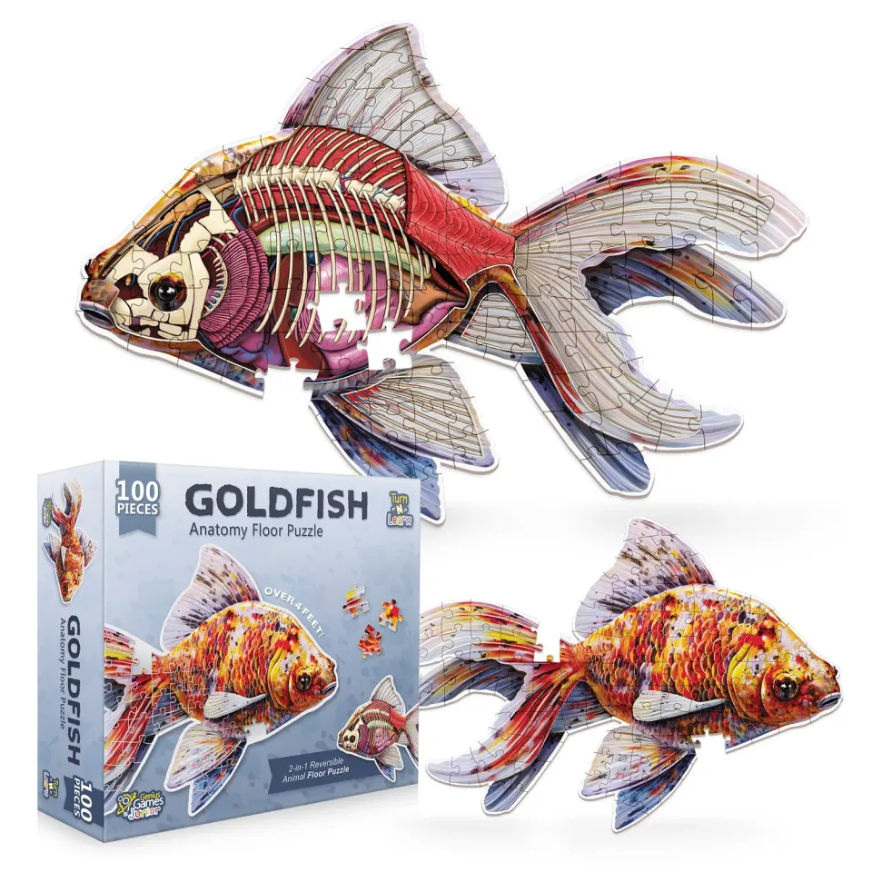 Genius Games Turn N Learn Fantail Goldfish Bodenpuzzle 100 Teile doppelseitig