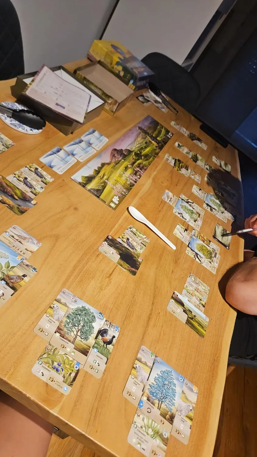 Asmodee Mischwald Dartmoor Grundspiel Kennerspiel deutsch