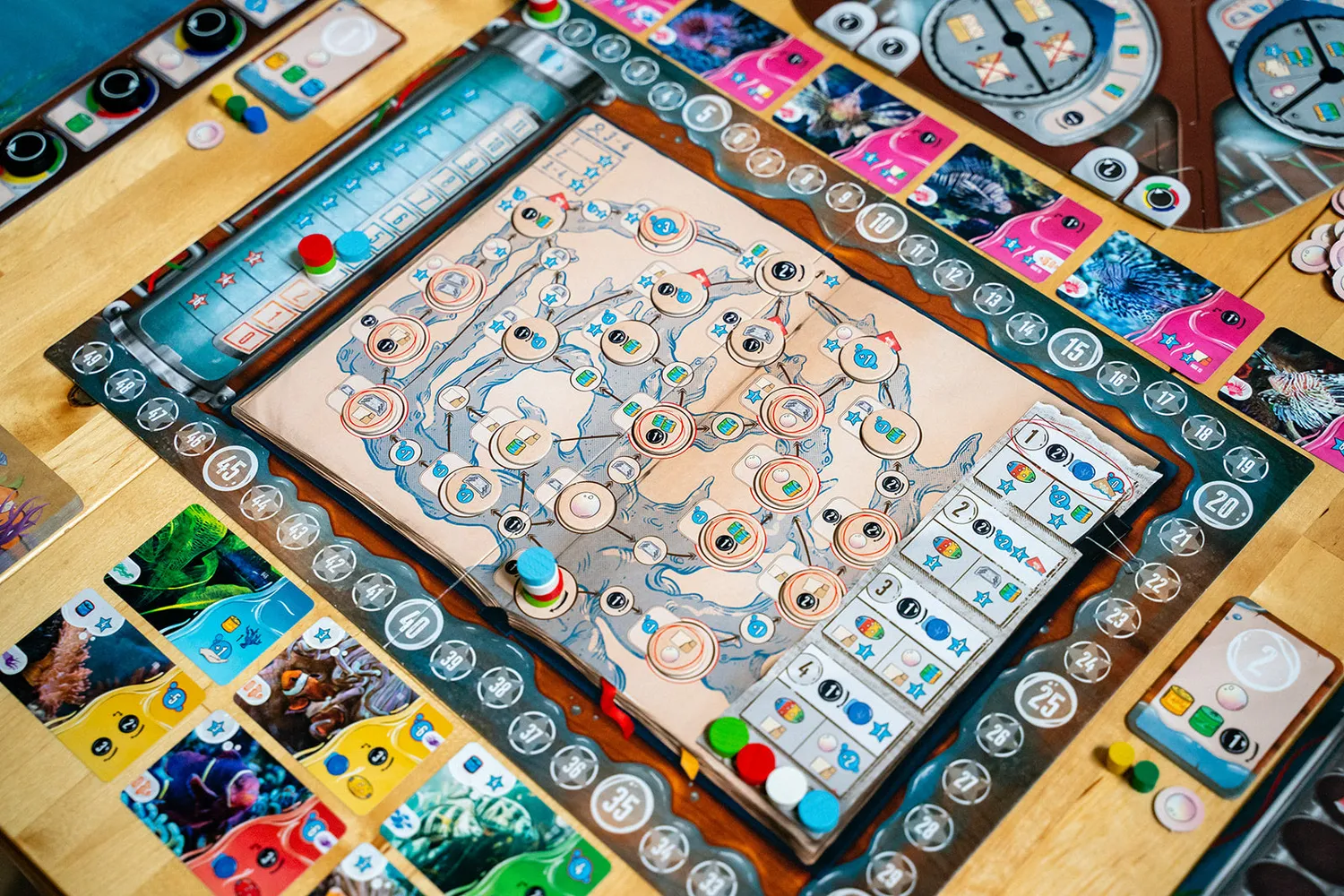Capstone Games Aquaria Brettspiel Aquarium-Strategie
