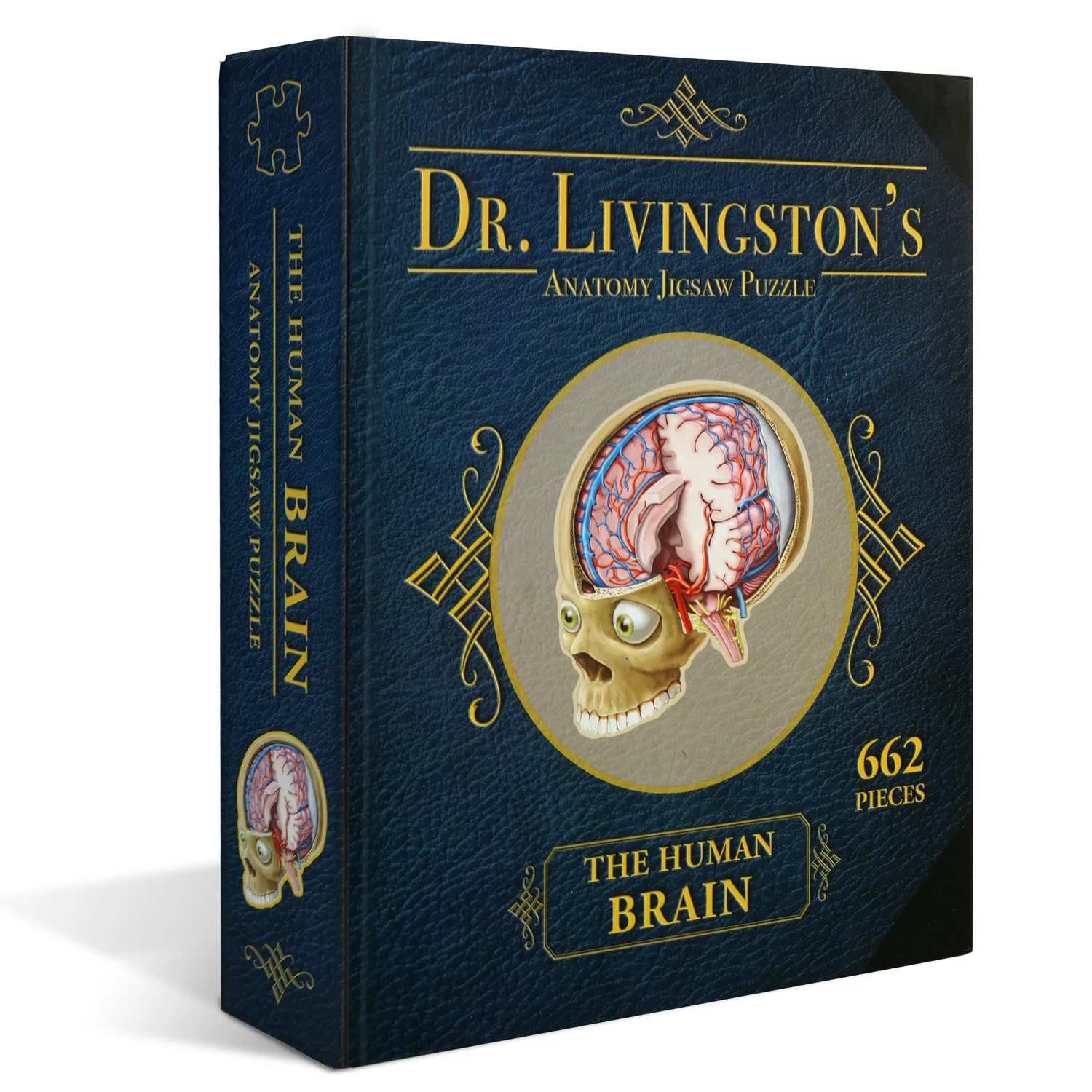 Genius Games Dr. Livingston Gehirn Anatomie Puzzle 662 Teile