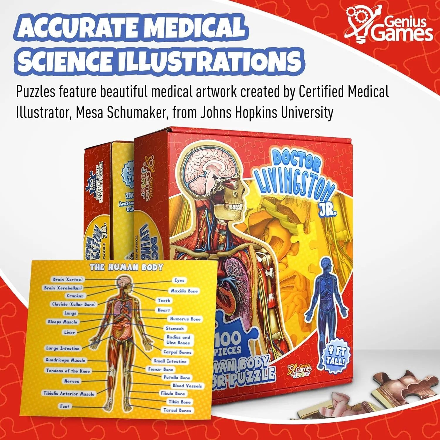 Genius Games Dr Livingston's Jr Human Body Bodenpuzzle 100 Teile