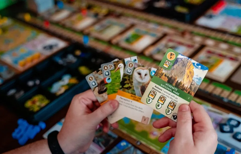 Capstone Games Ark Nova Brettspiel Basisspiel Zoo-Strategie