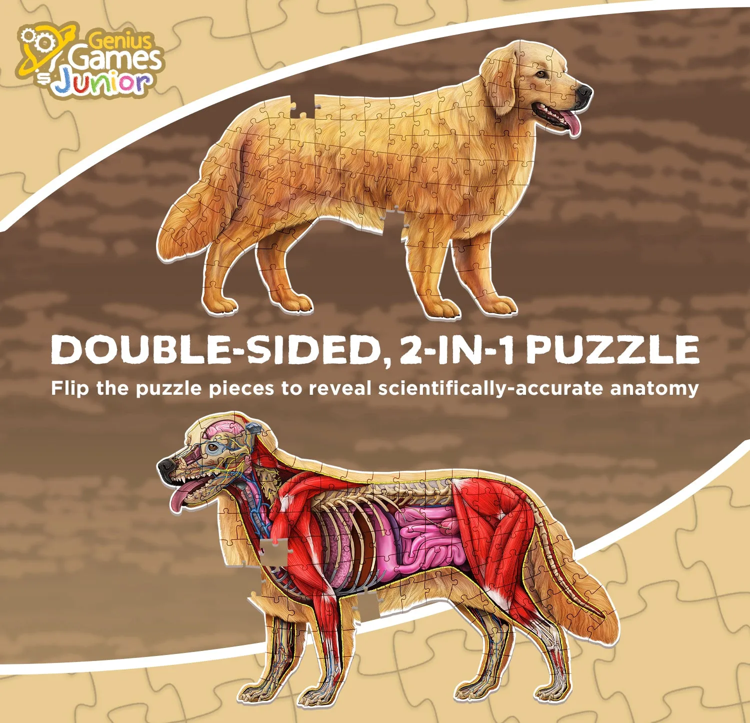 Genius Games Turn N Learn Hund Bodenpuzzle 100 Teile