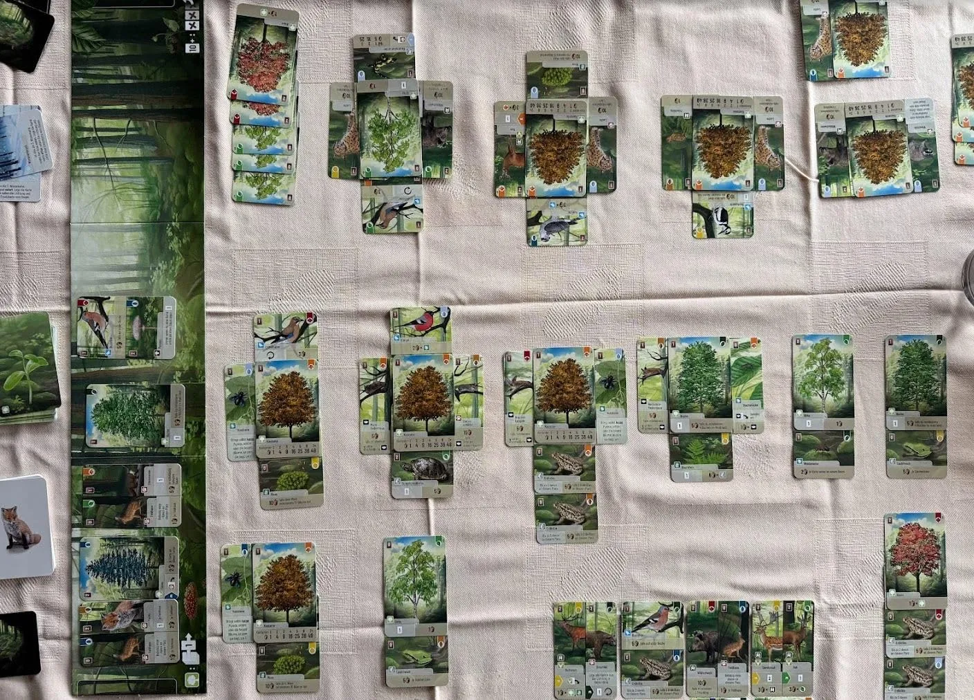 Asmodee Mischwald Grundspiel Familienspiel Deutsch